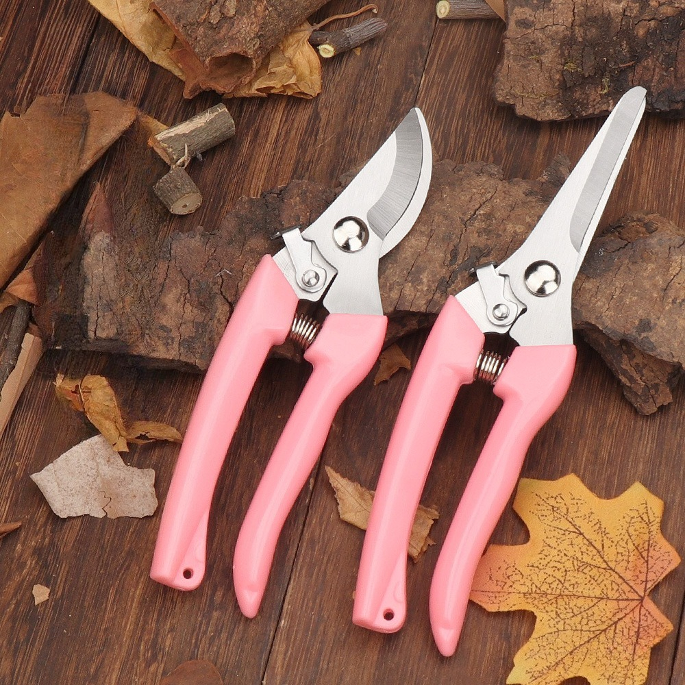 2 Pack Flower Scissors(Pink),  - Pinking Shear Blade incelemesi ve fiyatı