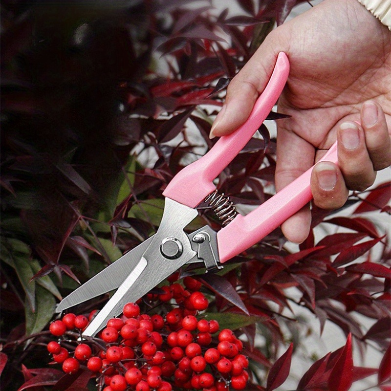 2 Pack Flower Scissors(Pink),  - Pinking Shear Blade incelemesi ve fiyatı