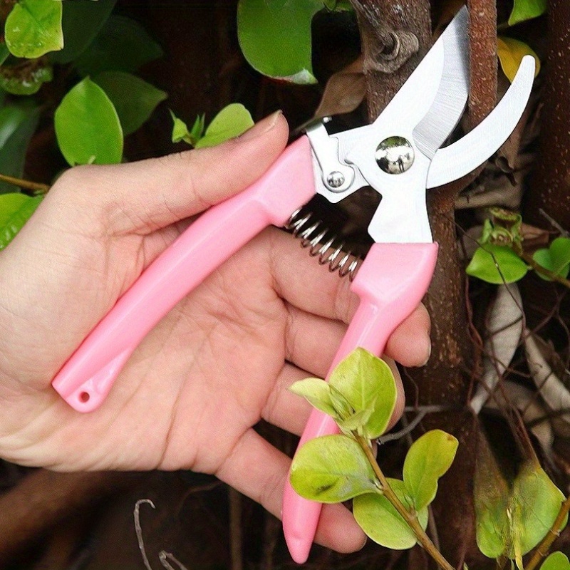 2 Pack Flower Scissors(Pink),  - Pinking Shear Blade incelemesi ve fiyatı